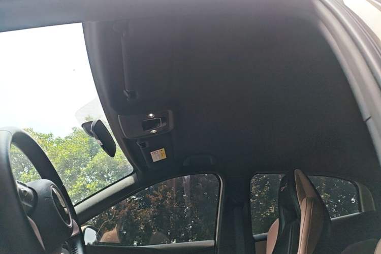 Used BYD Seagull 2023 Free Edition Headliner