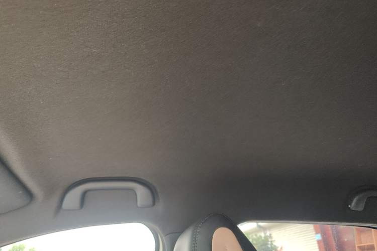 Used BYD Seagull 2023 Flying Edition Headliner