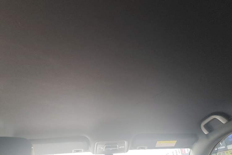 Used BYD Seagull 2023 Free Edition Headliner
