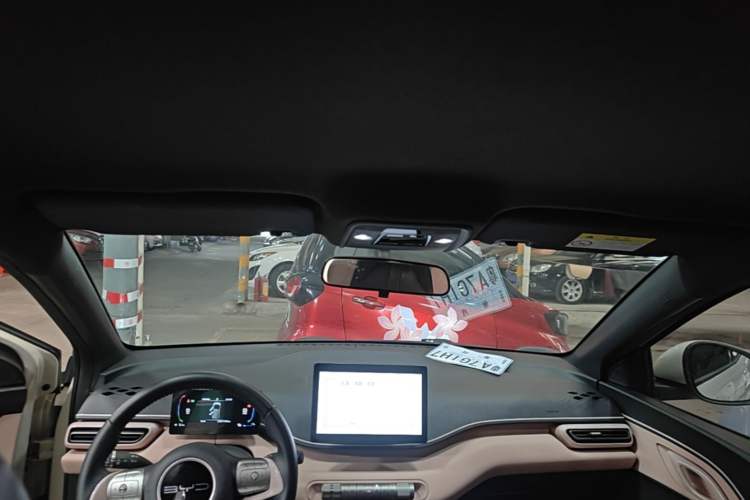 Used BYD Seagull 2023 Free Edition Headliner