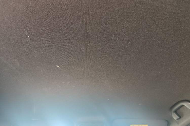 Used BYD Seagull 2023 Free Edition Headliner