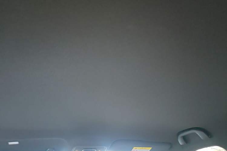 Used BYD Seagull 2023 Flying Edition Headliner