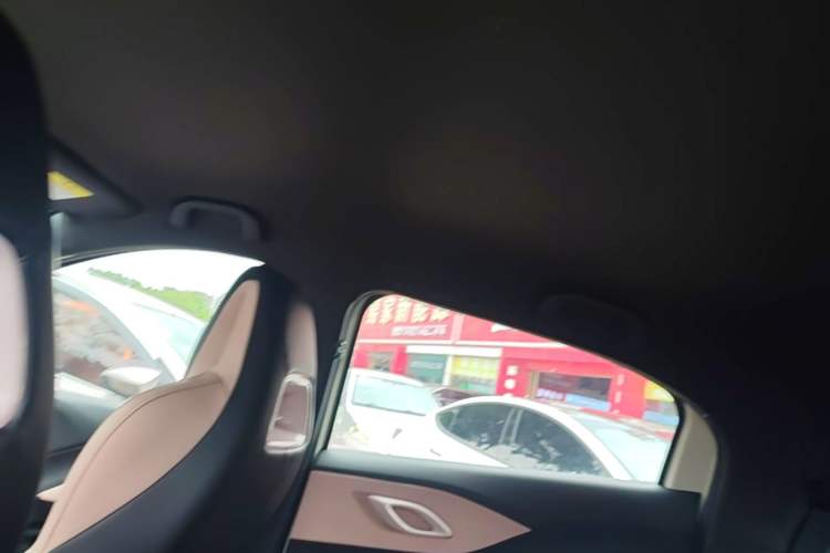 Used BYD Seagull 2023 Flying Edition Headliner