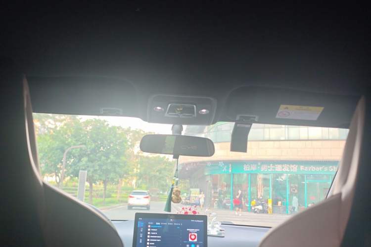 Used BYD Seagull 2023 Free Edition Headliner