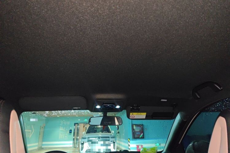 Used BYD Seagull 2023 Free Edition Headliner