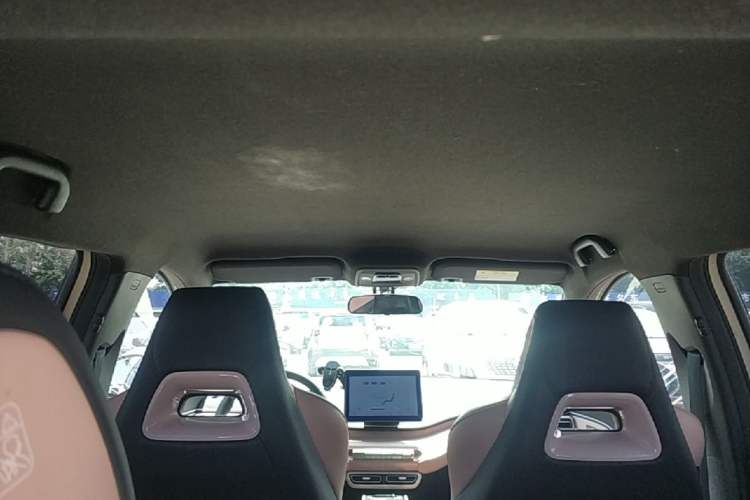 Used BYD Seagull 2023 Flying Edition Headliner