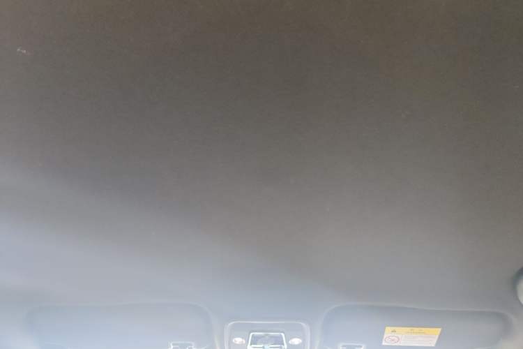 Used BYD Seagull 2023 Free Edition Headliner