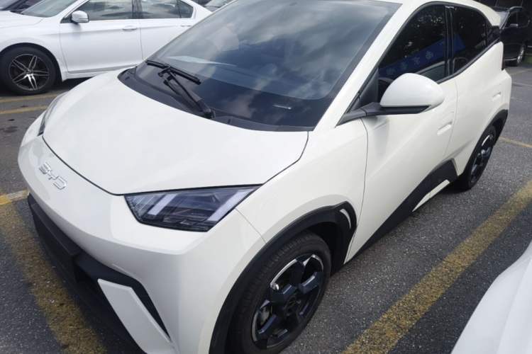 Used BYD Seagull 2023 Free Edition Guazi used car, China used car export, Used car for sale, Used cars, Cheapest cars for sale