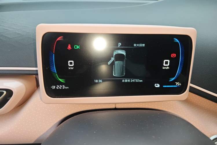 Used BYD Seagull 2023 Free Edition Instrument Cluster