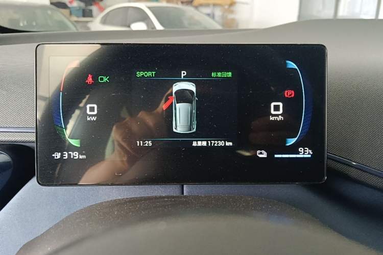 Used BYD Seagull 2023 Flying Edition Instrument Cluster