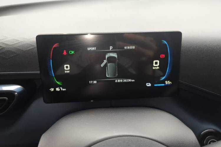 Used BYD Seagull 2023 Free Edition Instrument Cluster