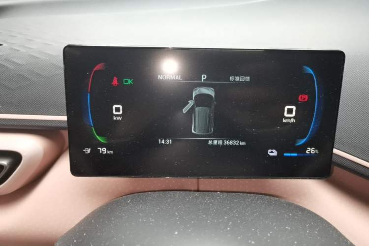 Used BYD Seagull 2023 Active Version Instrument Cluster