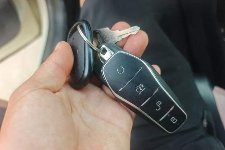 Used BYD Seagull 2023 Free Edition Interior 1