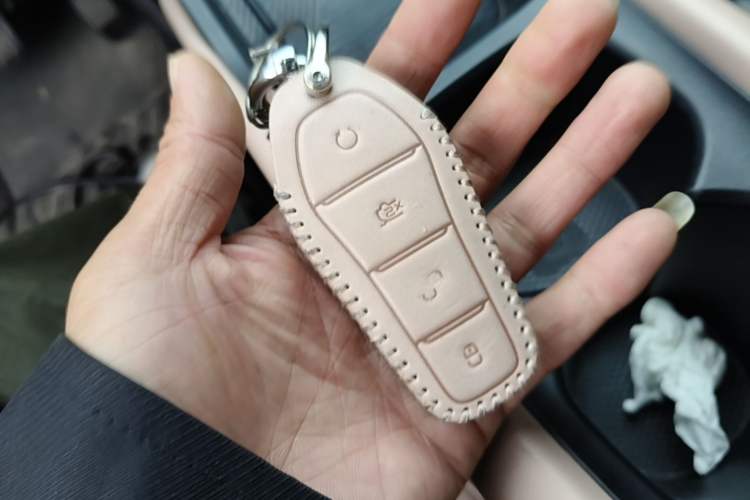 Used BYD Seagull 2023 Flying Edition Interior 1