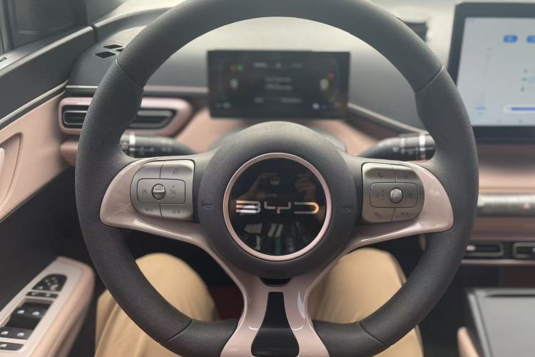 Used BYD Seagull 2023 Active Version Interior 4