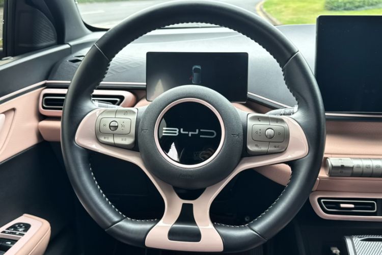 Used BYD Seagull 2023 Flying Edition Interior 5