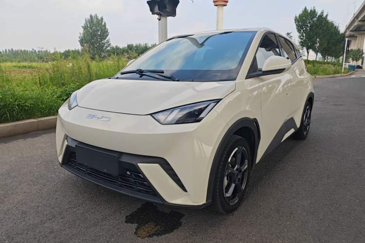 Used BYD Seagull 2023 Free Edition Guazi used car, China used car export, Used car for sale, Used  cars, Cheapest cars for sale