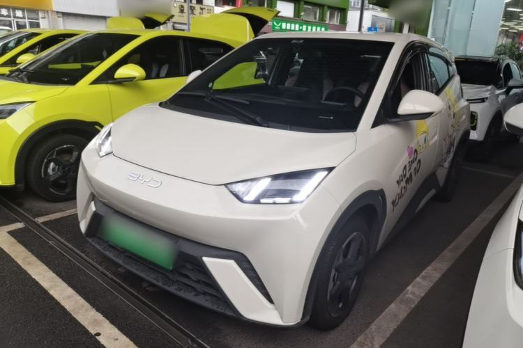 Used BYD Seagull 2023 Flying Edition Guazi used car, China used car export, Used car for sale, Used  cars, Cheapest cars for sale