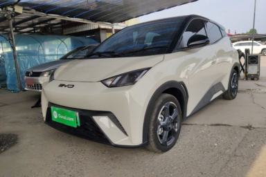 Used BYD Seagull 2023 Free Edition