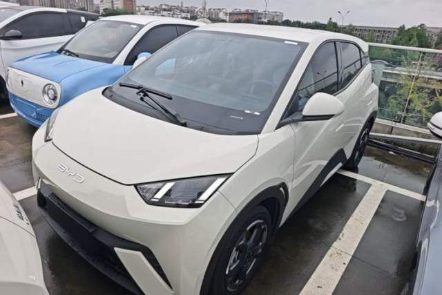 BYD Seagull 2023 Free Edition usado