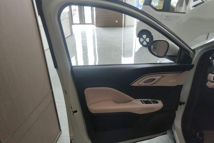 Used BYD Seagull 2023 Free Edition Left Front Door Interior