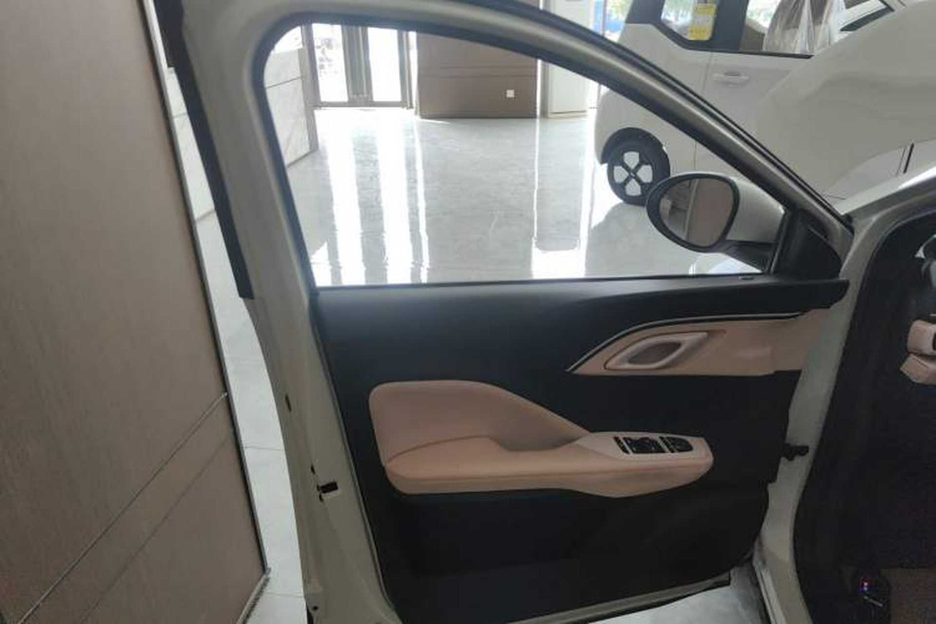 Used BYD Seagull 2023 Free Edition Left Front Door Interior