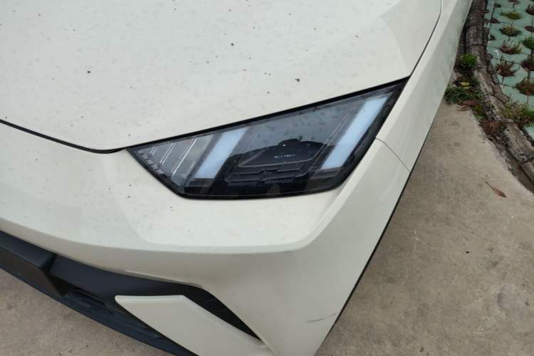 Used BYD Seagull 2023 Free Edition Left Front Headlight