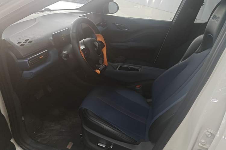 Used BYD Seagull 2023 Flying Edition Left Front Seat