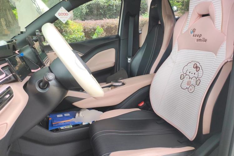 Used BYD Seagull 2023 Active Version Left Front Seat