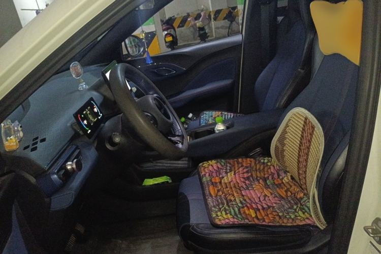 Used BYD Seagull 2023 Free Edition Left Front Seat