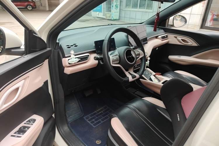 Used BYD Seagull 2023 Flying Edition Left Front Seat