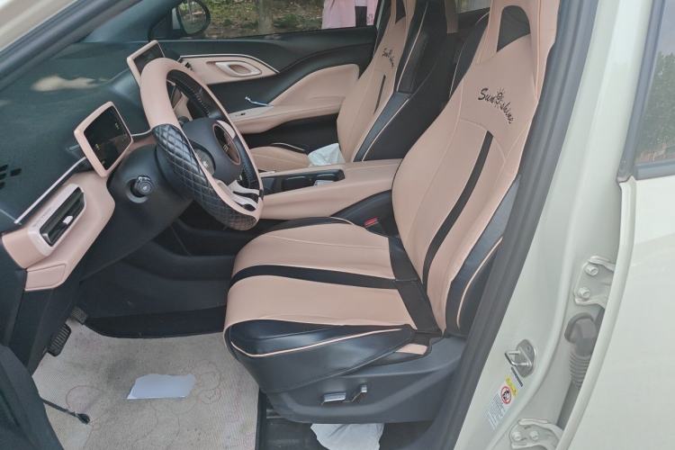 Used BYD Seagull 2023 Flying Edition Left Front Seat