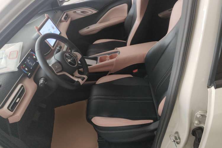 Used BYD Seagull 2023 Free Edition Left Front Seat