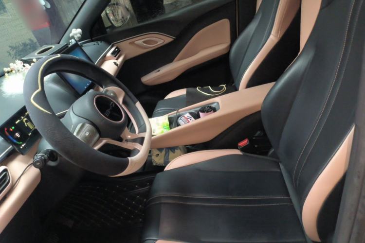 Used BYD Seagull 2023 Active Version Left Front Seat
