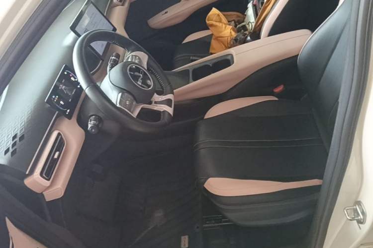 Used BYD Seagull 2023 Free Edition Left Front Seat