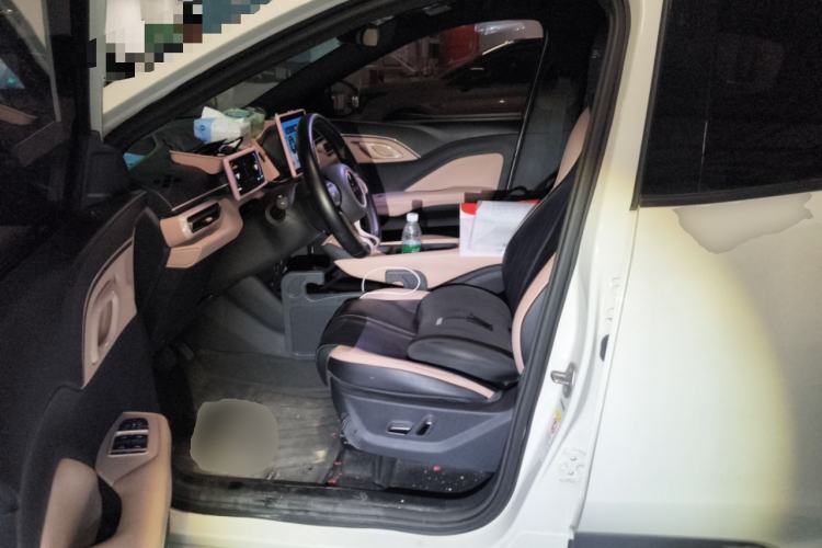 Used BYD Seagull 2023 Flying Edition Left Front Seat