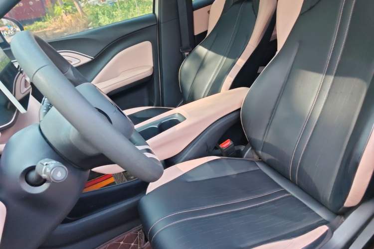 Used BYD Seagull 2023 Free Edition Left Front Seat