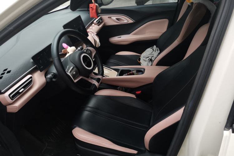 Used BYD Seagull 2023 Free Edition Left Front Seat