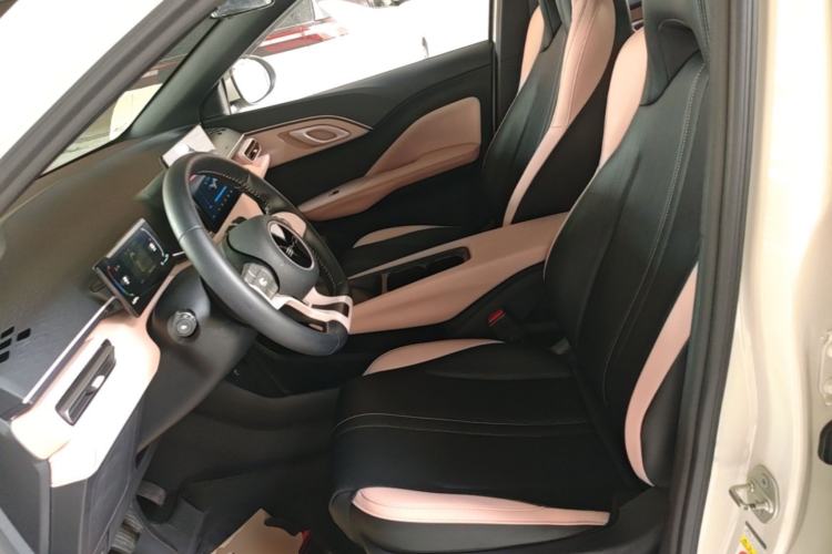 Used BYD Seagull 2023 Flying Edition Left Front Seat
