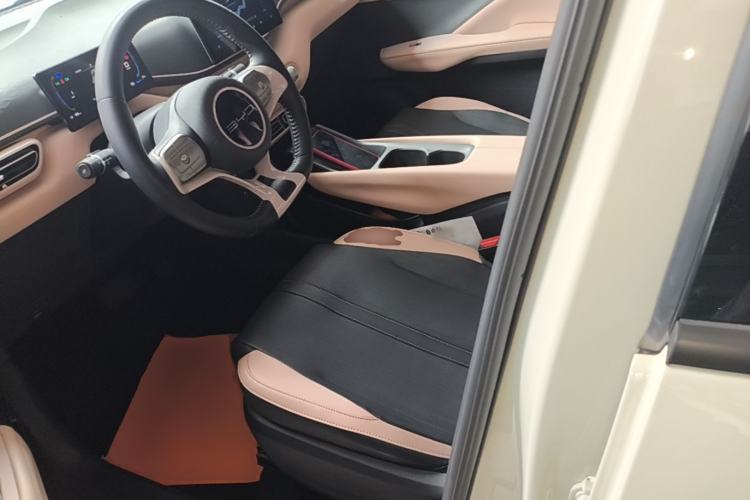 Used BYD Seagull 2023 Free Edition Left Front Seat