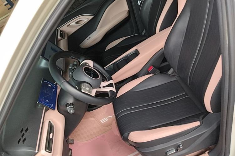 Used BYD Seagull 2023 Flying Edition Left Front Seat