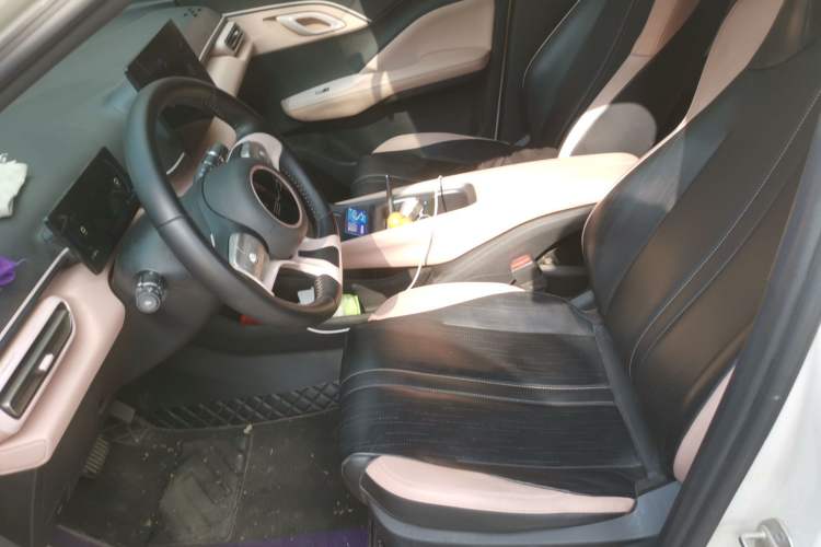 Used BYD Seagull 2023 Flying Edition Left Front Seat