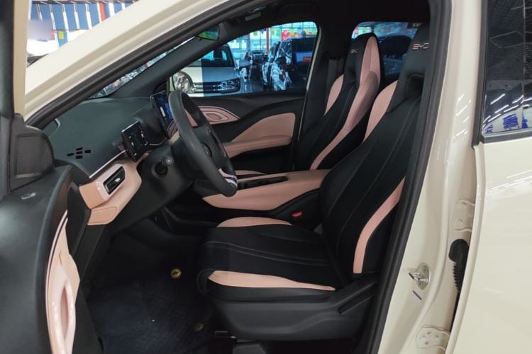 Used BYD Seagull 2023 Active Version Left Front Seat