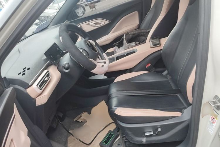 Used BYD Seagull 2023 Flying Edition Left Front Seat