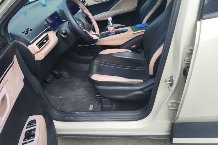 Used BYD Seagull 2023 Active Version Left Front Seat