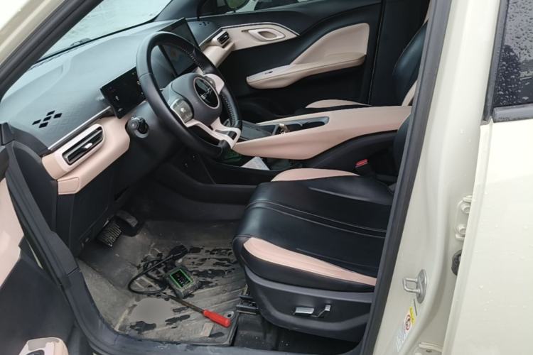 Used BYD Seagull 2023 Flying Edition Left Front Seat