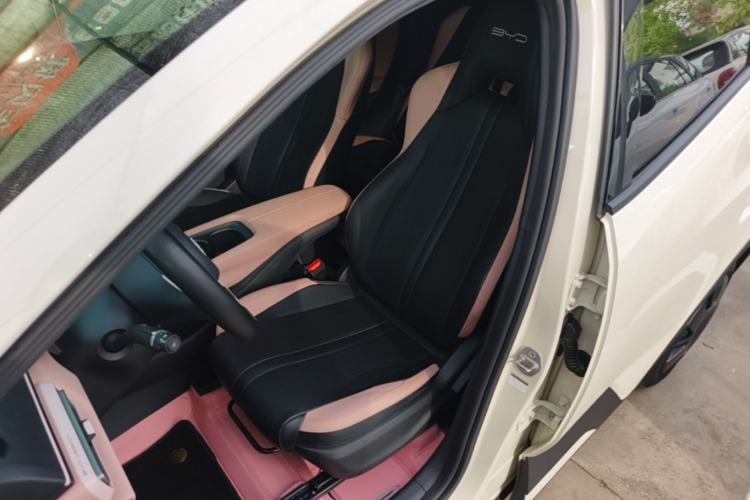 Used BYD Seagull 2023 Active Version Left Front Seat