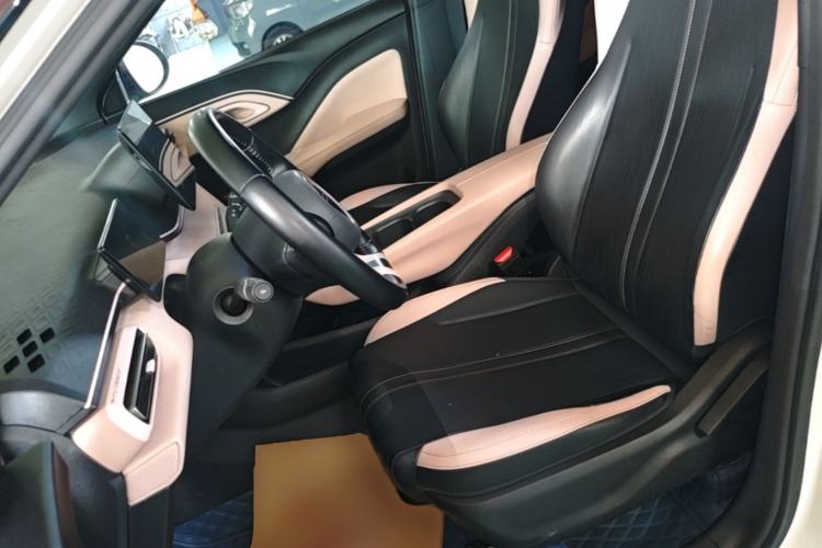 Used BYD Seagull 2023 Free Edition Left Front Seat