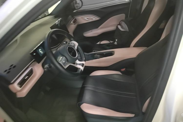 Used BYD Seagull 2023 Free Edition Left Front Seat
