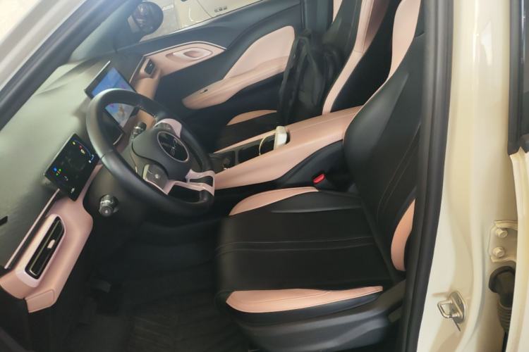 Used BYD Seagull 2023 Free Edition Left Front Seat